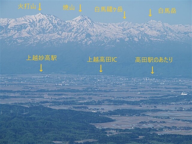 Q5043538-a.jpg