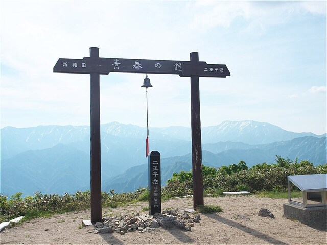 Q6084004.jpg