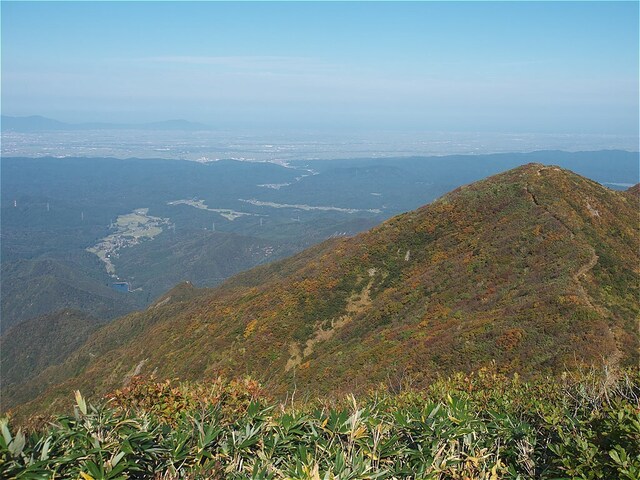 QA185035.jpg
